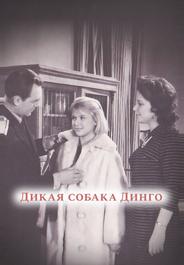 Дикая собака динго