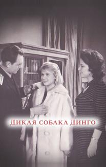 Дикая собака динго