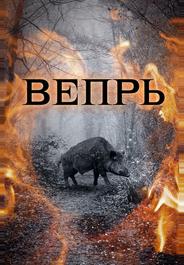 Вепрь