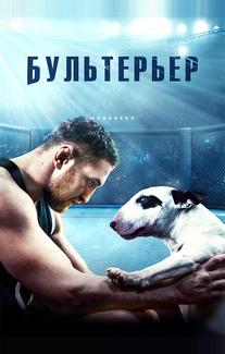 Бультерьер