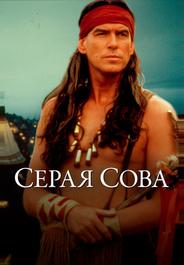 Серая сова
