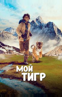 Мой тигр