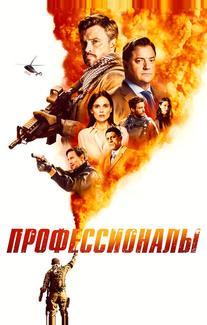 Профессионалы