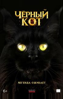 Черный кот