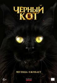 Черный кот