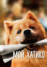Мой Хатико