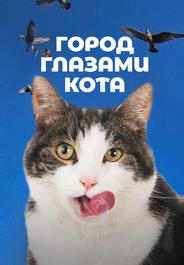 Город глазами кота
