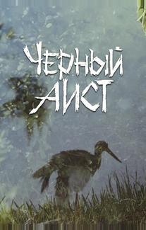 Черный аист