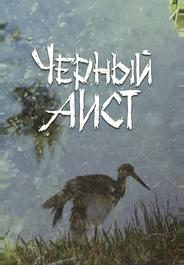 Черный аист