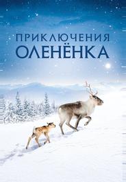 Приключения олененка