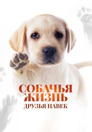 Собачья жизнь: Друзья навек