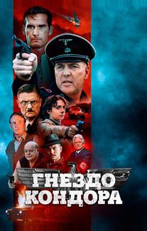 Гнездо кондора