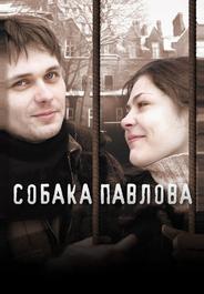 Собака Павлова
