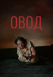 Овод