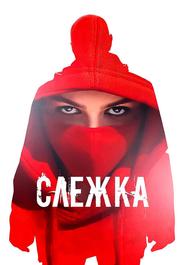 Слежка