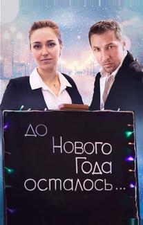 До Нового года осталось…
