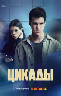 Цикады