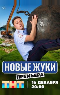 Жуки