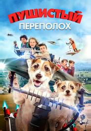 Пушистый переполох
