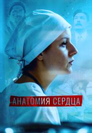 Анатомия сердца