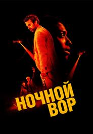Ночной вор