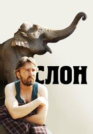 Слон