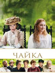 Чайка