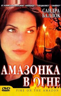 Амазонка в огне