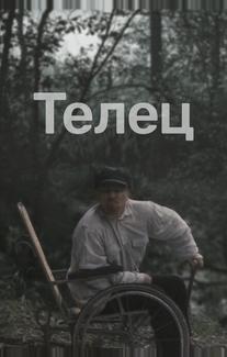 Телец