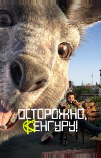 Осторожно, Кенгуру!