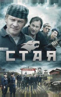 Стая