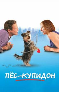 Пес-купидон