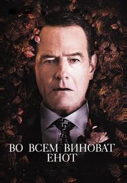 Во всем виноват енот