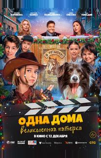 Одна дома: Великолепная пятерка