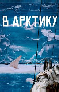 В Арктику