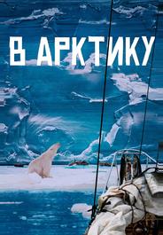 В Арктику