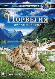 Норвегия 3D: Дикая природа