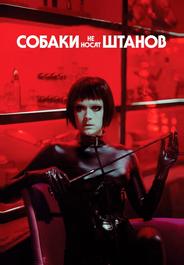 Собаки не носят штанов