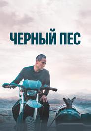 Чёрный пёс