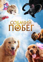 Собачий побег