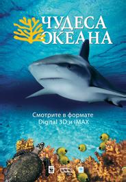 Чудеса океана