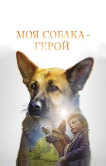 Моя собака — герой