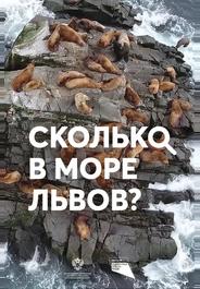 Сколько в море львов?