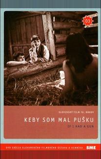 Если бы у меня было ружье