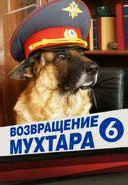 Возвращение Мухтара 6