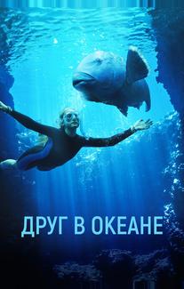 Друг в океане