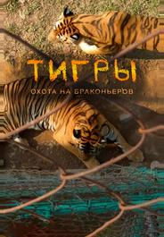 Тигры: Охота на браконьеров