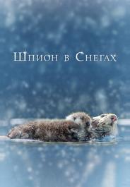 Шпион в снегах