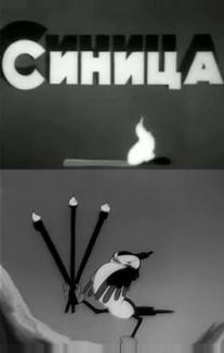 Синица