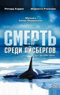 Смерть среди айсбергов